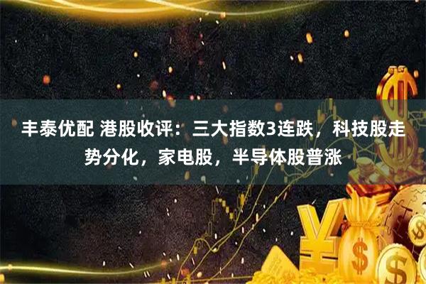 丰泰优配 港股收评：三大指数3连跌，科技股走势分化，家电股，半导体股普涨