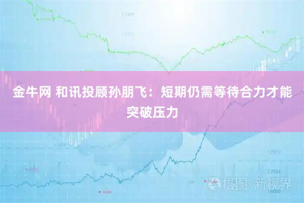 金牛网 和讯投顾孙朋飞：短期仍需等待合力才能突破压力
