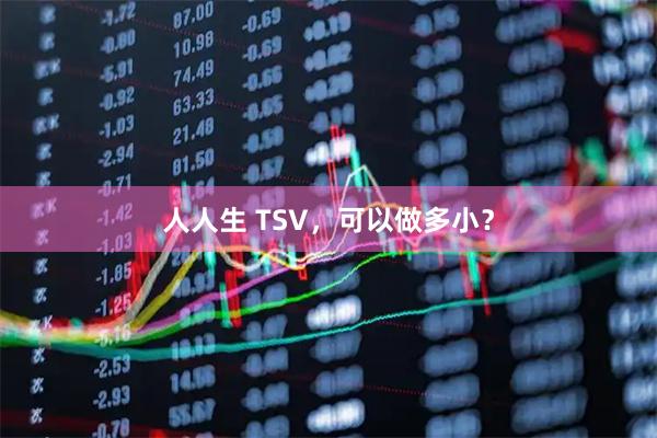 人人生 TSV，可以做多小？